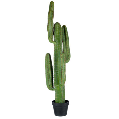cactus_artificiel