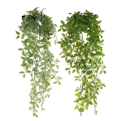 plante_artificielle_suspendue
