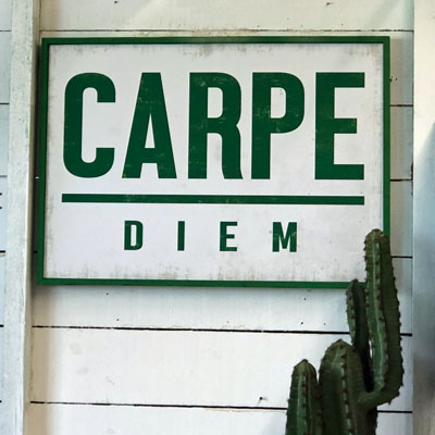 plaque_bois_carpe_diem